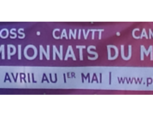 Championnat du Monde de Canicross